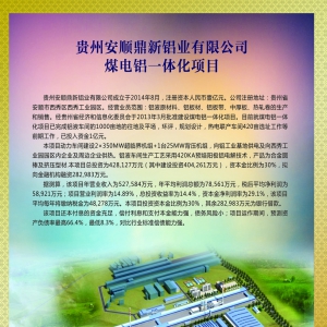 全球湘商贵州行品牌展示之——前景巨大的安顺鼎新铝业煤电铝一体化项目
