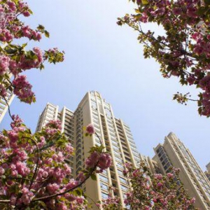 太艳了真让人受不了 长沙“好色”之徒福利来了