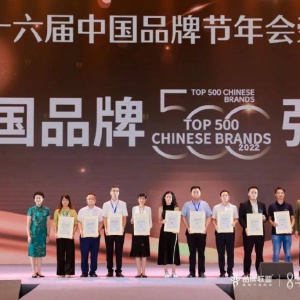 中国品牌节 |《2022全国品牌500强》榜单重磅发布